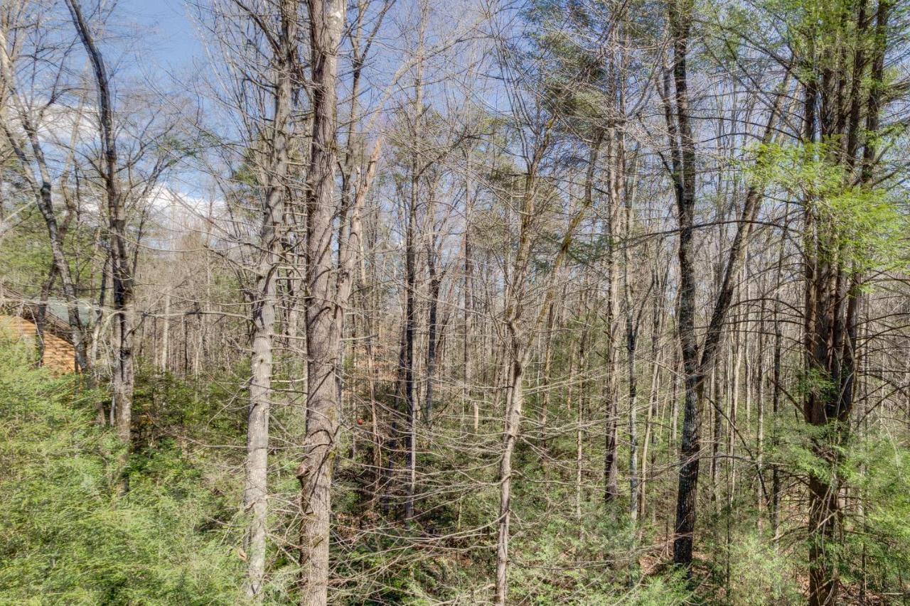 Tennessee Treasure 비둘기 포지 외부 사진